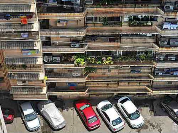 campa cola society campa cola society