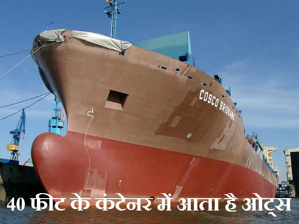 40 फीट के कंटेनर में आता है ओट्स