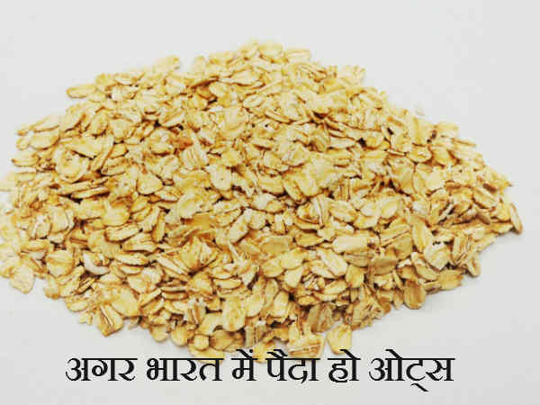 क्या होगा अगर भारत में पैदा हो ओट्स 