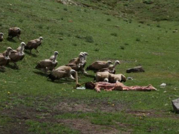 आकाश अंत्‍येष्टि