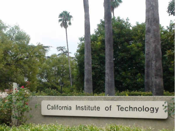 अमेरिका से हुई बाकी पढ़ाई 