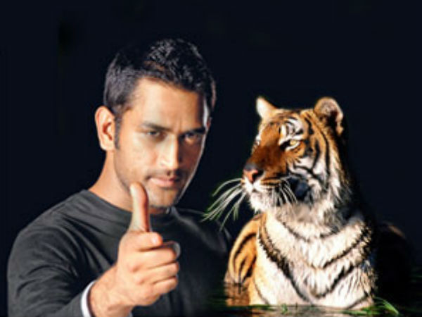 अफरीदी के समर्थन में लगे नारे