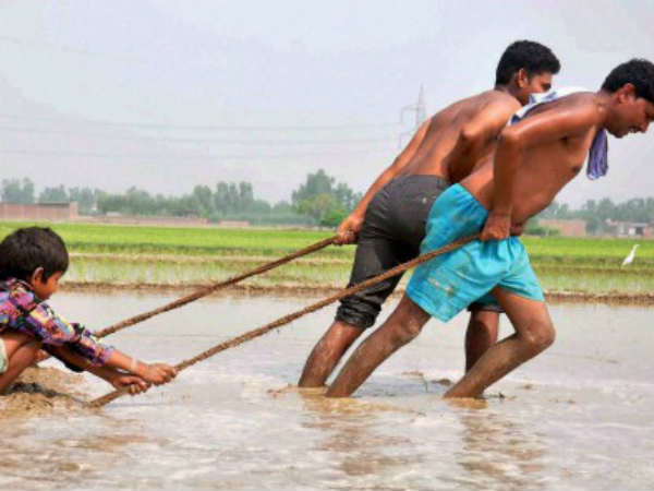 खेती का समय 