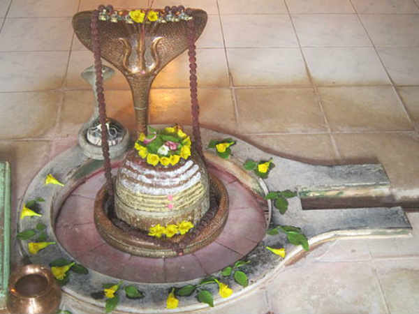 शिव जी पर कौन सा पुष्प चढ़ाने से क्या लाभ होगा? शिव जी पर कौन सा पुष्प चढ़ाने से क्या लाभ होगा?