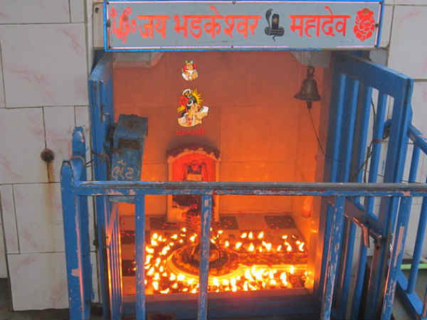 शिव जी पर कौन सा पुष्प चढ़ाने से क्या लाभ होगा? शिव जी पर कौन सा पुष्प चढ़ाने से क्या लाभ होगा?