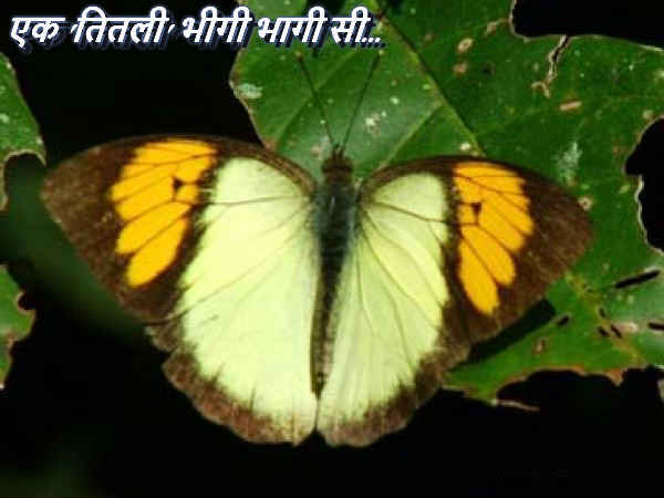 ब्रिटिश कालीन