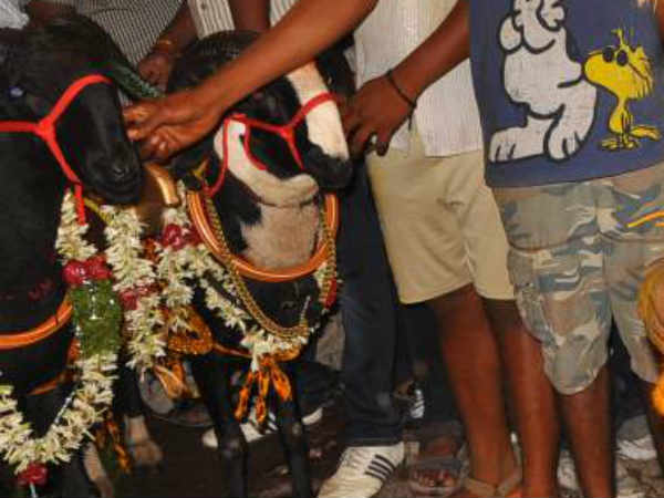 बलि प्रथा बलि प्रथा