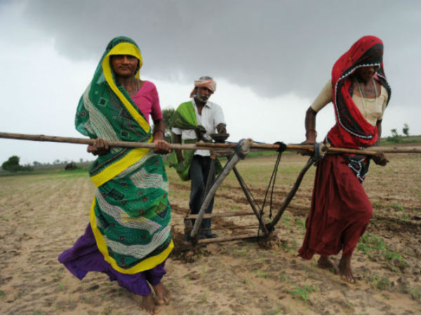 बेड़ नाम से होगी बारिश