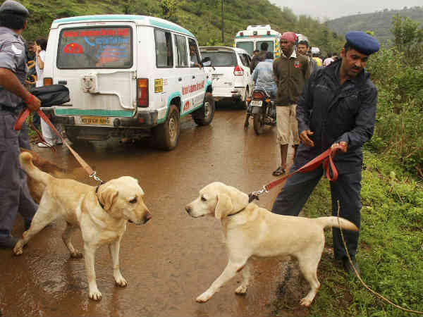 सड़ने लगी हैं लाशें सड़ने लगी हैं लाशें