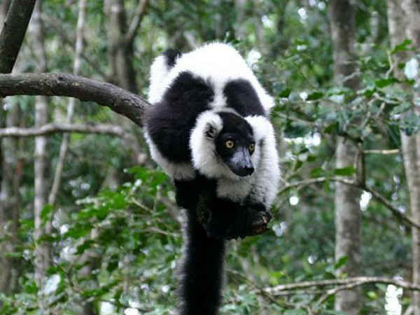 बच्चों के प्रति प्यार