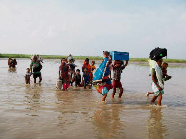 बचाना है आश‍ियाना 