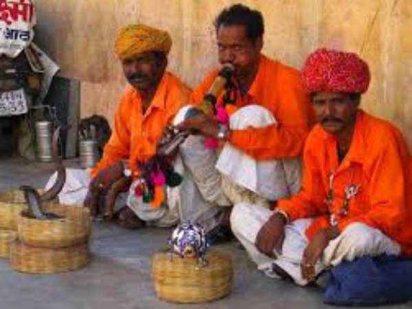 6 महीने से ज्यादा एक जगह पर नहीं ठिकते 6 महीने से ज्यादा एक जगह पर नहीं ठिकते