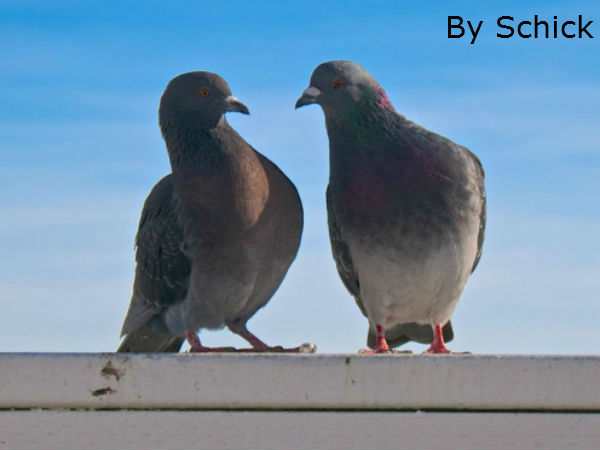 मुझसे डर लगता है या नहीं ! मुझसे डर लगता है या नहीं !