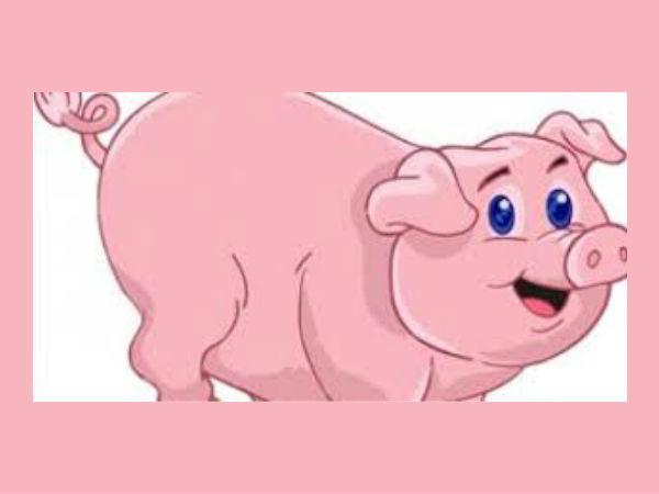 जल्दी सीख जाते हैं ये जल्दी सीख जाते हैं ये