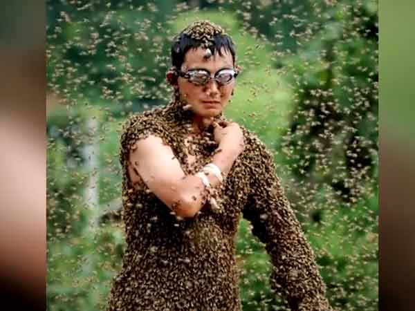 मधुमक्खियों से प्रेम