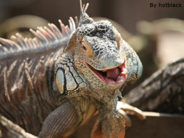 इनकी मुस्कुराहट पर सारे फिदा इनकी मुस्कुराहट पर सारे फिदा