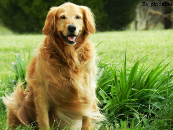 इनकी मुस्कुराहट पर सारे फिदा इनकी मुस्कुराहट पर सारे फिदा