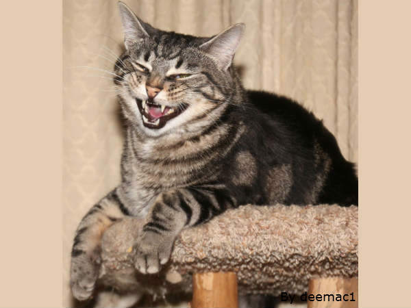 इनकी मुस्कुराहट पर सारे फिदा इनकी मुस्कुराहट पर सारे फिदा