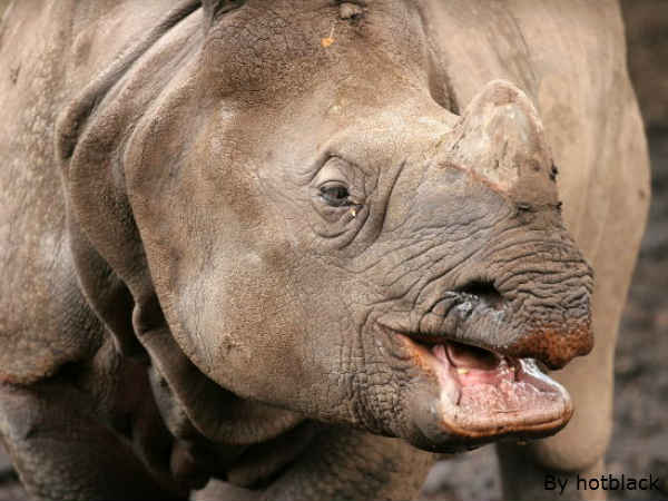 इनकी मुस्कुराहट पर सारे फिदा इनकी मुस्कुराहट पर सारे फिदा