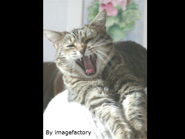 इनकी मुस्कुराहट पर सारे फिदा इनकी मुस्कुराहट पर सारे फिदा