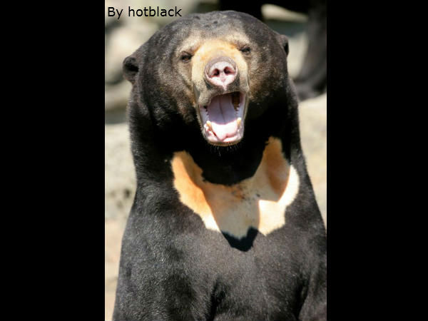 इनकी मुस्कुराहट पर सारे फिदा इनकी मुस्कुराहट पर सारे फिदा