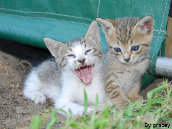 इनकी मुस्कुराहट पर सारे फिदा इनकी मुस्कुराहट पर सारे फिदा