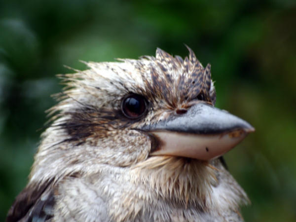 इनकी मुस्कुराहट पर सारे फिदा इनकी मुस्कुराहट पर सारे फिदा