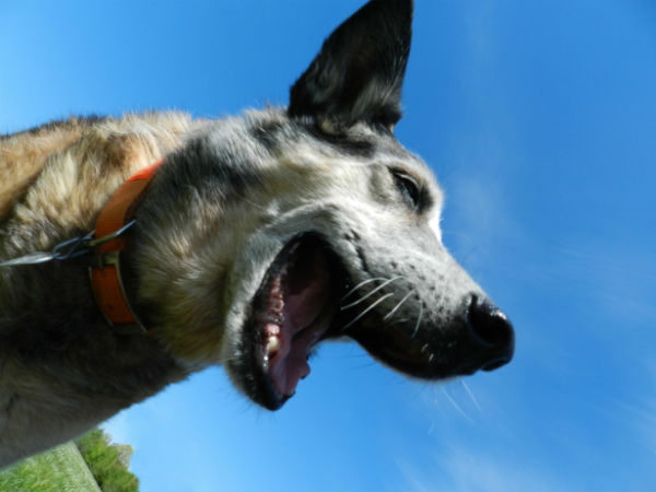 इनकी मुस्कुराहट पर सारे फिदा इनकी मुस्कुराहट पर सारे फिदा