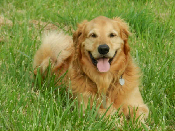 इनकी मुस्कुराहट पर सारे फिदा इनकी मुस्कुराहट पर सारे फिदा