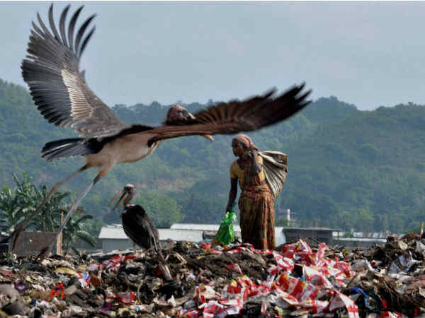 Narendra Modi's efforts to make India Clean country Narendra Modi's efforts to make India Clean country