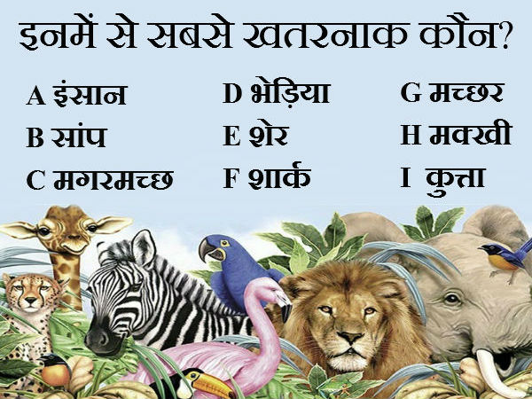 सोचिए इस सवाल का जवाब सोचिए इस सवाल का जवाब