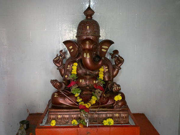 विश्वमुखा, विश्वराजा, यग्नाकाय