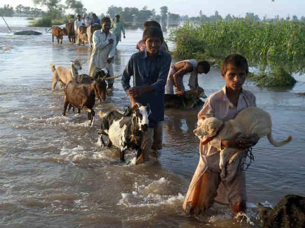 हजारों बेघर 