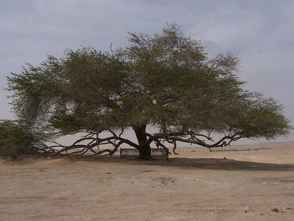 सदियों पुराना है यह