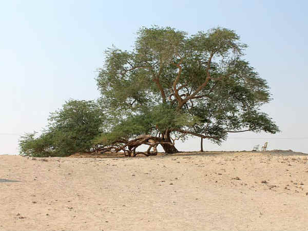 व्लर्ड हैरिटेज साइट