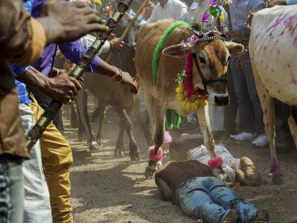 धाड़ में गोवरधनपूजा 