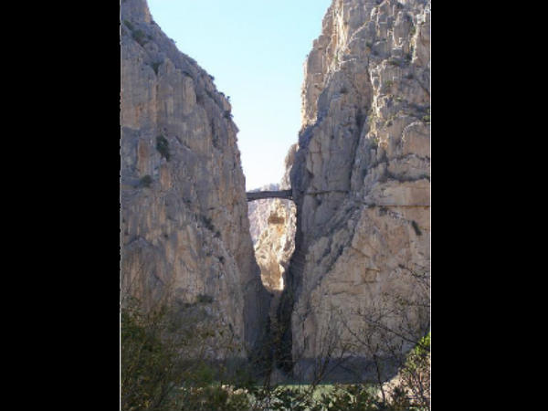 अद्भुत है ये नजारा 