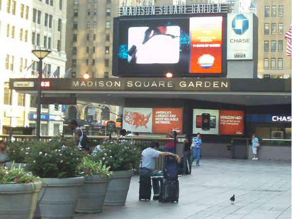 एमएसजी के नाम से भी मशहूर 