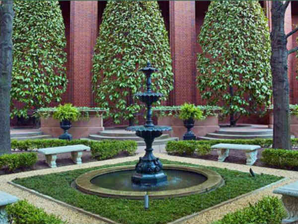 कई तरह के फूल 