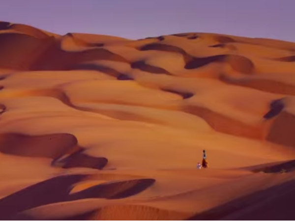 रेगिस्तान का जहाज रेगिस्तान का जहाज