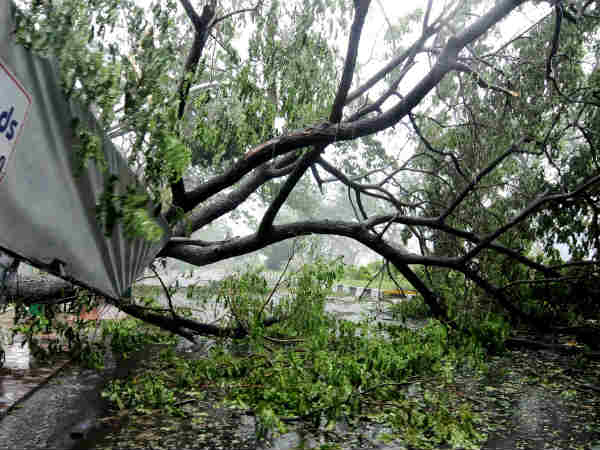 तेज हवाएं बनी बाधा तेज हवाएं बनी बाधा