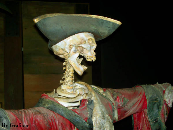 हे आइ एम हेयर 