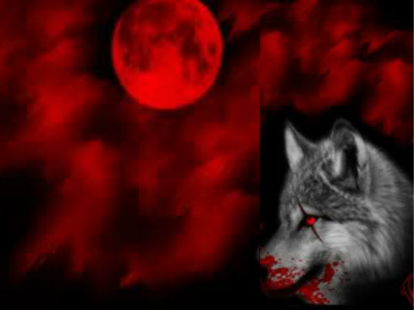 ISI officials feed dogs with blood of indian prisoners in jail ISI officials feed dogs with blood of indian prisoners in jail