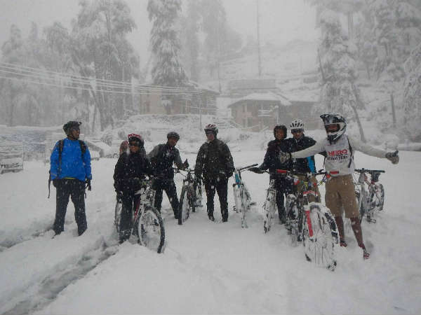 कुफरी में साईकल की कुल्फी