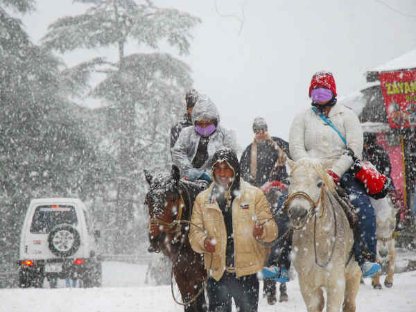 Why Delhites thronging Shimla in hordes