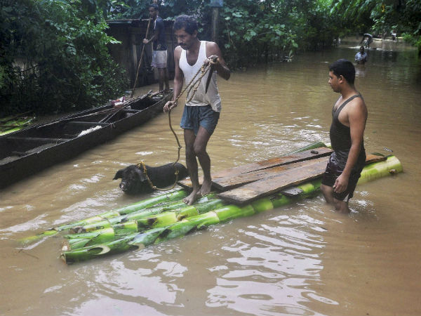 सरकार भी बेबस सरकार भी बेबस