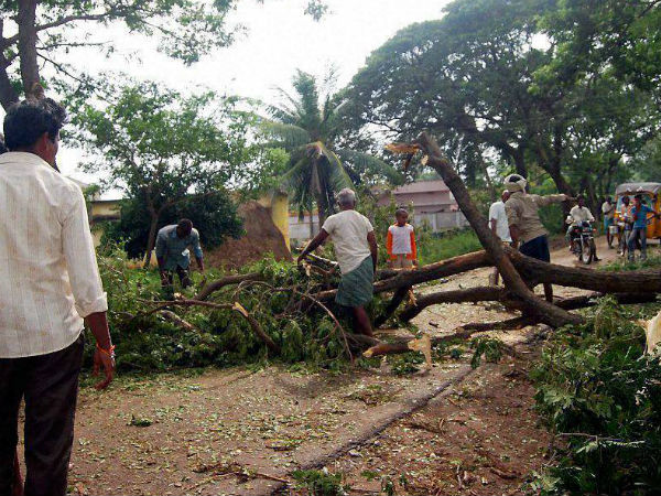 ओड़िसा में फैलिन ओड़िसा में फैलिन