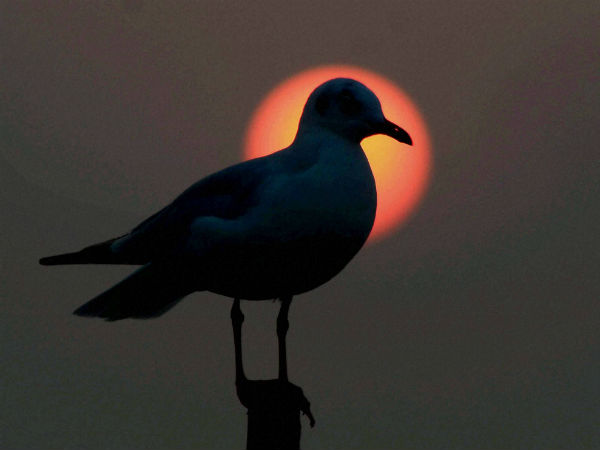 खूबसूरत तस्वीर खूबसूरत तस्वीर