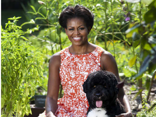  भारत से खासी प्रभावित 