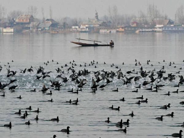 यह कश्मीर है..